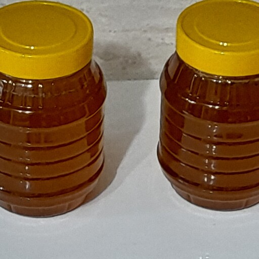 عسل طبیعی با بسته های یک کیلویی با طعمی عالی و قیمتی مناسب