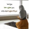خانم امیرشریفی