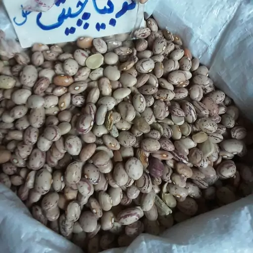 لوبیا چیتی محلی چهارمحال