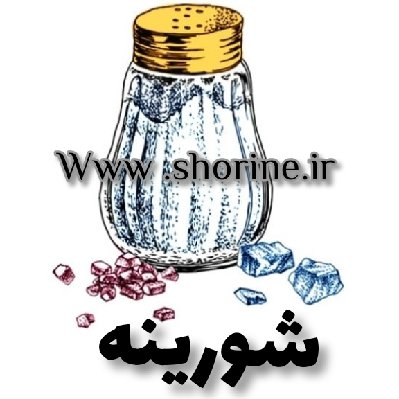 هادی رضایی
