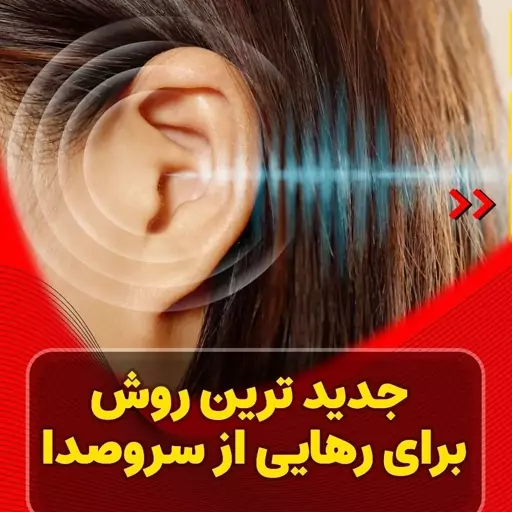 صدا گیر و گوش گیر سیلیکونی اسپنکوژل SpencoGel بسته 4 عددی قابل شستشو