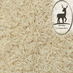 برنج  فجر
محصول شمال کشور در اندازه 5 کیلوگرمی
با کیفیت عالی