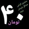 خرازی و لوازم تزیینی گل پونه