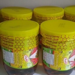 عسل طبیعی گلبرگ یک کیلویی کاملا ارگانیک وطبیعی دارای پروانه بهداشت وتاییدیه سازمان غذا ودارو