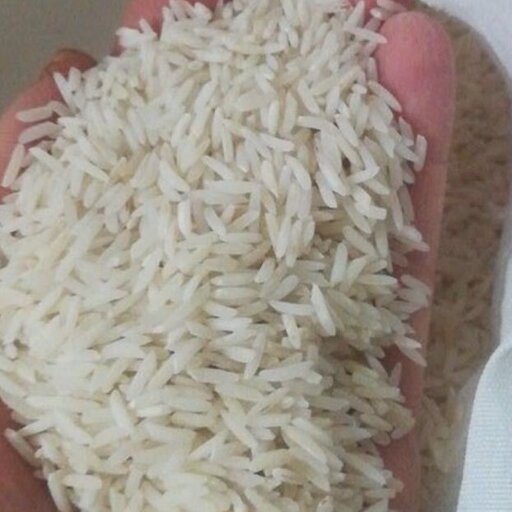 برنج طارم هاشمی درجه یک(بسیار خوشپخت)