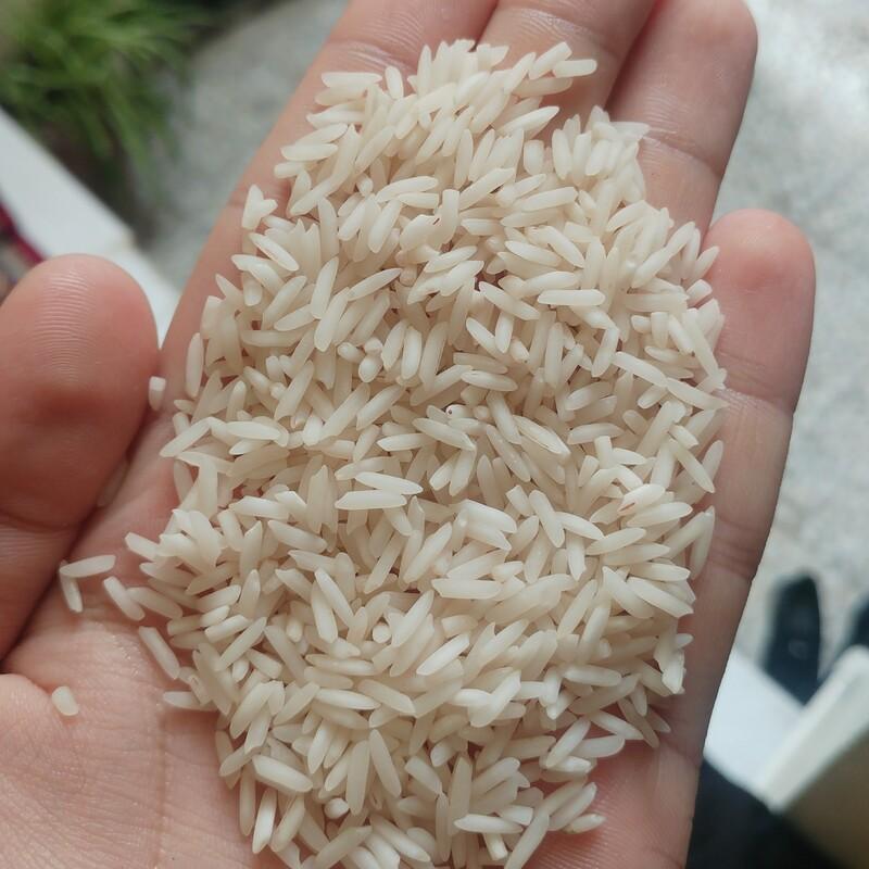 برنج شیرودی گیلان (5 کیلویی)