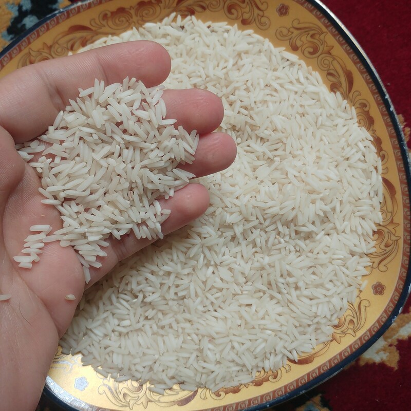 برنج شیرودی - 5 کیلویی