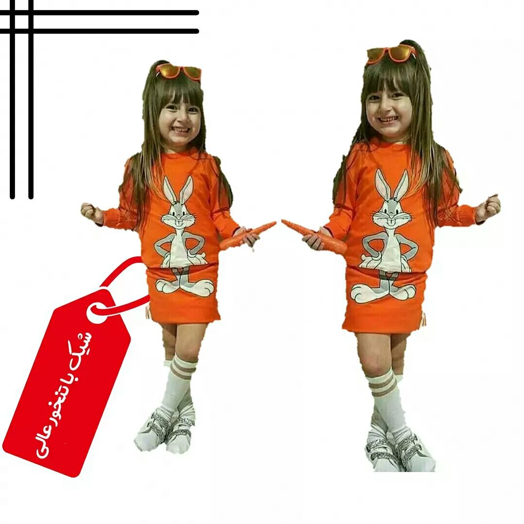 دو تیکه خرگوشی