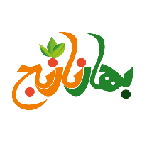 مهدی حسینی