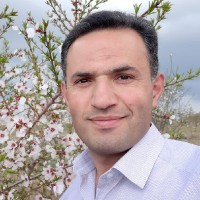 پرویز حمیدی