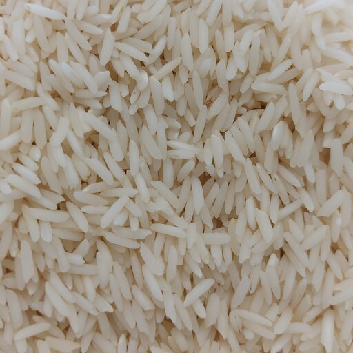 برنج هاشمی درجه یک گیلان فوق اعلا بدون شکستگی دربسته های 10 کیلویی