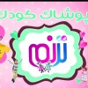 سعیده حبیب الهی
