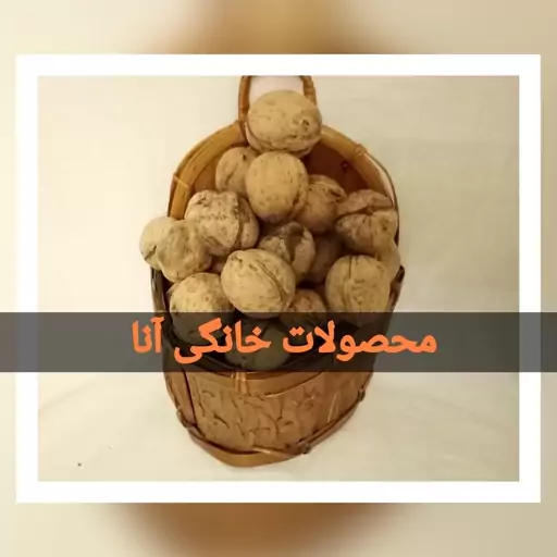  گردوی  باغات ارومیه