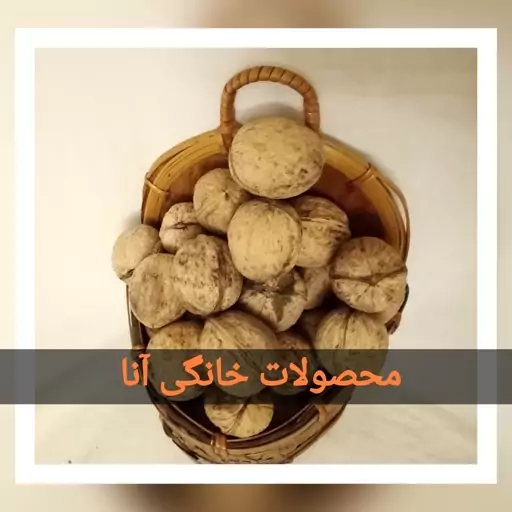  گردوی  باغات ارومیه