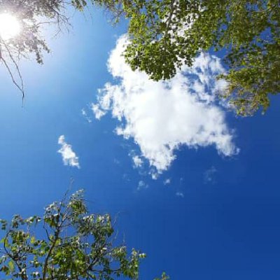 عباس رحیمی 