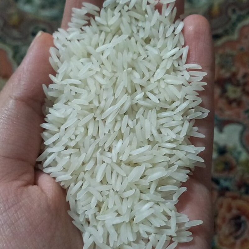 برنج طارم فجر درجه یک پنج ستاره شمال