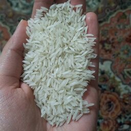 برنج طارم فجر درجه یک
