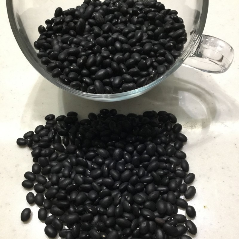 لوبیا سیاه پست دو کیلو برای گیاهخواران حبوبات ارگانیک