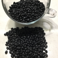 رضا سرلک