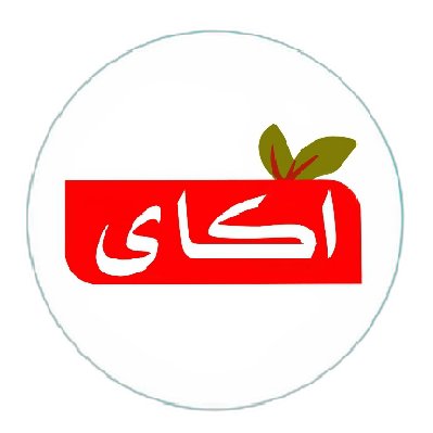 ناصرامینی
