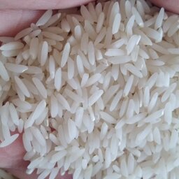 برنج  طارم هاشمی  عطری  درجه یک فریدونکنار (سورت شده)ده کیلویی با ارسال رایگان