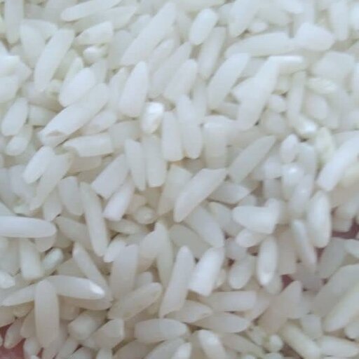 برنج  لاشه طارم هاشمی   فریدونکنارباارسال رایگان 10کیلویی