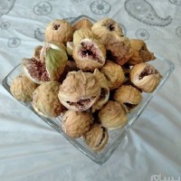 پیمان پاسالار