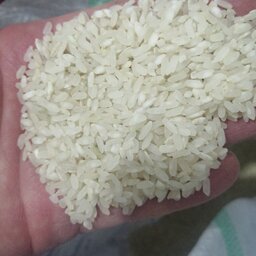 برنج کامفیروزی(10)کیلو