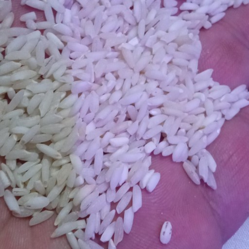 برنج عنبربو معطر درجه1 (10 کیلویی) ارسال رایگان به سراسر ایران