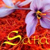 Satia Saffron