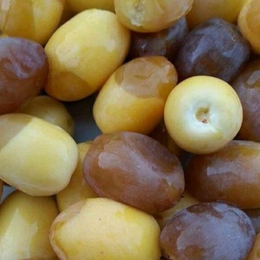 خرمای خاصوی بوشهر(500گرمی)