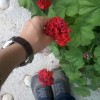 فاطمه صادقی