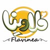 فلاوینا