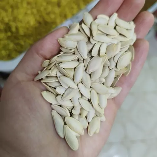 تخمه کدو خام مشهدی تازه(200گرمی)