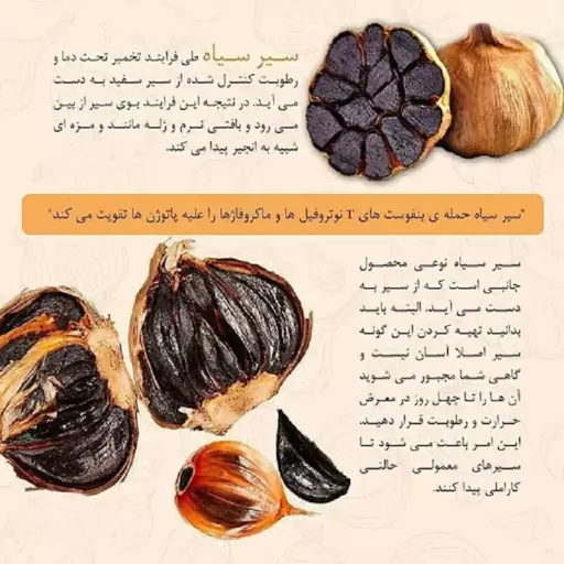 سیر سیاه نیم کیلویی درجه یک خوشمزه پرخاصیت 