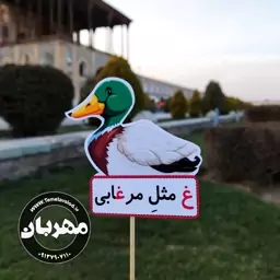 گیفت نشانه ی غ  مثل مرغابی مخصوص کلاس اولی ها یک عدد