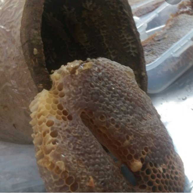 عسل کوزه ای مومدار(حاج عبدالله)