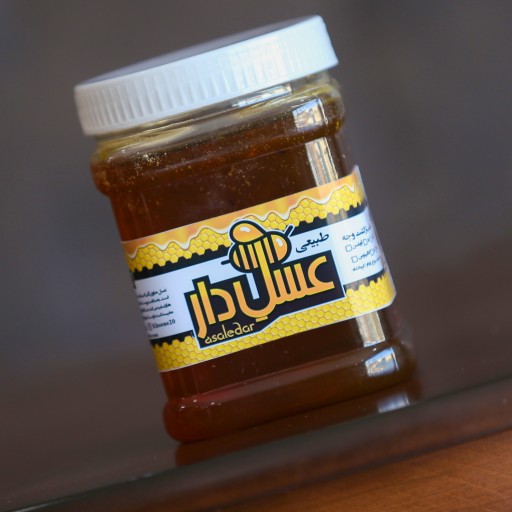 عسل طبیعی اوکالیپتوس بهاره امسال 1 کیلویی (مستقیم از زنبوردار)