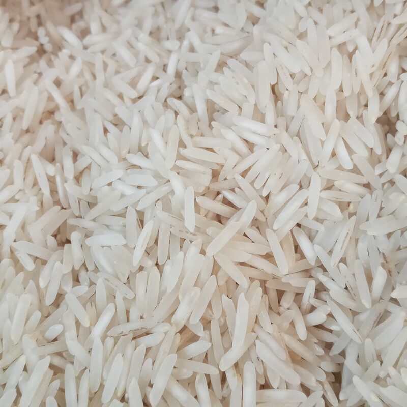 برنج شیرودی  پرمحصول  خوشپخت و مجلسی   و باب منزل   و اقتصادی