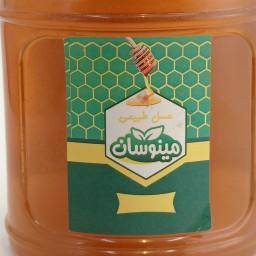 عسل گون دیابتی یا دیابتی یا عسل بدون قند (1000 گرمی)