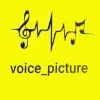 voice_picture