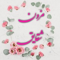 شقایق امینی