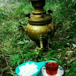 چای قلم بهاره ممتاز لاهیجان بسیار خوش طعم (500 گرمی) محصول 1403