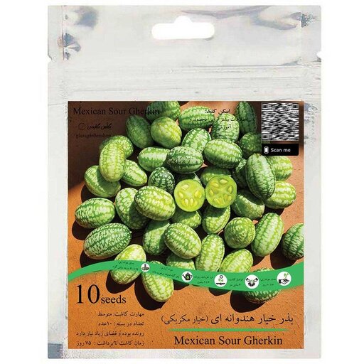 بذر خیار هندوانه ای خیار مکزیکی بسته 10 عددی گلس گاردن