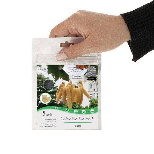 بذر لوفا لیف طبیعی گیاهی بسته 5 عددی گلس گاردن