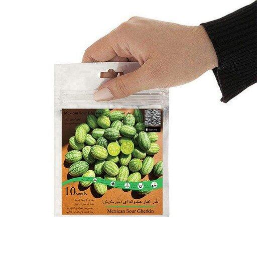 بذر خیار هندوانه ای خیار مکزیکی بسته 10 عددی گلس گاردن