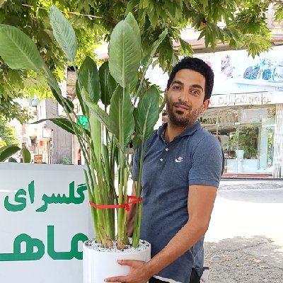 محمد متو