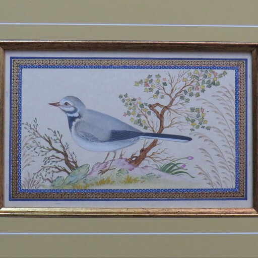 نقاشی ایرانی پرنده به سبک دوره صفویه واثر چاپ شده در کتاب هنر و هنرمندان امارات و شرکت در چندین نمایشگاه داخلی و خارجی