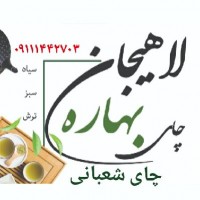 چای شعبانی