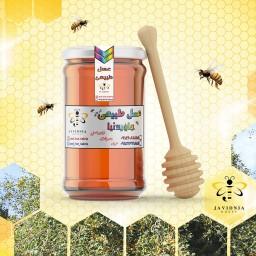 عسل طبیعی کنار
(منطقه خوزستان-900 گرمی)